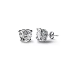 Heart of Radiance Zircon Stud Earrings